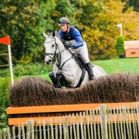 Kolmevõistlushobune