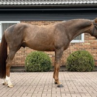 TOMMY CASH otsib uut kodu