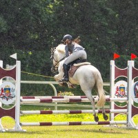 Conemara sport pony