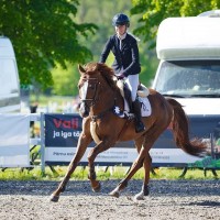 TOMMY CASH otsib uut kodu