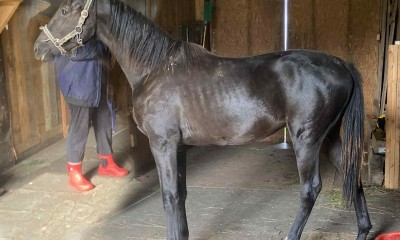 MÜÜA NOOR SPORDIHOBUNE – IKAR