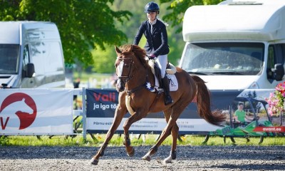 TOMMY CASH otsib uut kodu